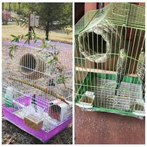 Pigeon nest grass nest bird nest weaving appliance pet bird cage outdoor chicken nest hanging wall straw creative garden bird