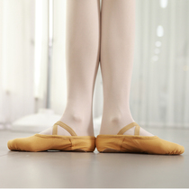 Dance shoes Womens soft bottom practice shoes men adult Chinese camel childrens dance shoes cat claw shoes classical dance ballet shoes