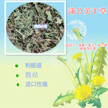 Dandelion Hay heat and Poison bacteria under Fire Rabbit ChinChin guinea pig pasture small pet standing hay 250g
