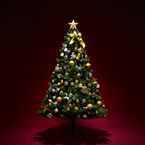 1 5 1 8 m export Christmas tree package Christmas Mall hotel decoration encryption flame retardant home Christmas tree
