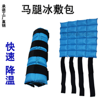 Ice pack horse leggings horse leg ice pack to cool down the muscles and reduce fatigue sports equestrian blue horse tendon to relieve harness