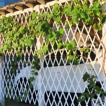 Telescopic anti-corrosive fence grid hanging wall Upper white fence decorated solid wood climbing frame wood strips decarbonated walls