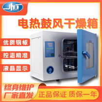 Yiheng electric blast drying oven laboratory oven DHG-9030A 9145A stainless steel industrial oven 101