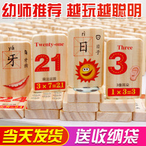 Wood Early Education 100 Double-sided Numbers Chinese Character Fruit Animal Cognitive Domino Building Blocks Educational Toy