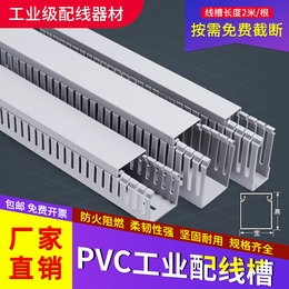 PVC Trunking Industry Electrical Control Cabinet Distribution Box Routing Clear opening wiring groove 25x25 40305060
