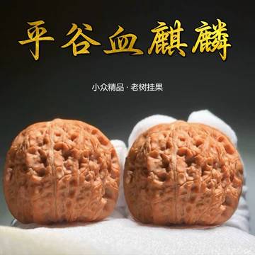 血麒麟核桃-血麒麟核桃促销价格、血麒麟核桃品牌- 淘宝 血麒麟核桃-血麒麟核桃促销价格、血麒麟核桃品牌- 淘宝