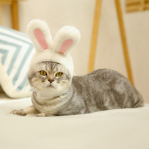 Pet cat dog white rabbit ear hat vertical ear with the same adult white rabbit shape cute cute photo