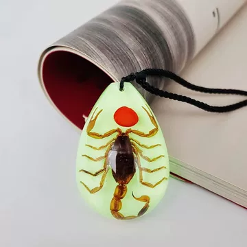 Vaguelly 琥珀 化石 昆虫、昆虫 樹脂 虫 標本 セット 保存 J1602