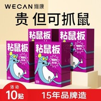 Weikang plus sticky mouse board strong glue big mouse board sticky glue household medicine super strong catcher 739