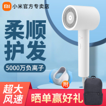Small Rice Family Negative Ion Protection Power Generation Hair Dryer Domestic Speed Dry Constant Temperature Folding Portable Dorm Hot And Cold Power