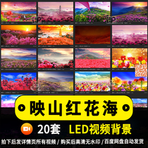 Yingshan red flower sea red song folk song Party LED big screen stage performance performance background video material