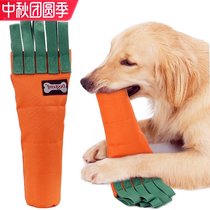 Pet toy molars bite-resistant dog carrot set medium and large dog golden hair outdoor dog walking interactive sniffing toy