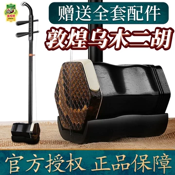 Amazon | 二胡 敦煌 NK-350 初心者入門11点セット | 二胡 | 楽器