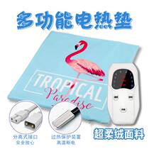 Small electric blanket heating Cushion USB hatching pet hot compress physiotherapy car Mini small small electric mattress