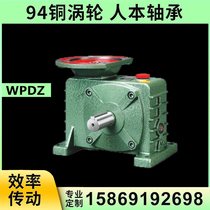 Worm gear reducer wpdz 60 70 80 100 120 135 Variable speed gearbox with motor