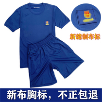 Fire physical training suit set flame blue summer training short-sleeved shorts crew neck quick-drying T-shirt men