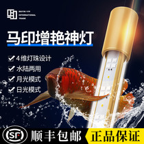 Ma Yin magic lamp PLUS dragon fish lamp special three-base color enhancement lamp waterproof diving lamp dual mode LED fish tank lamp