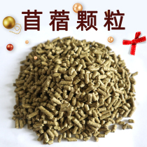 Large grain of clover large grain and small favorite hay fodder grain