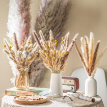 Nordic style reed dried flower rabbit tail ins frigid bouquet Yunnan real flower literary and artistic fresh home decoration photo