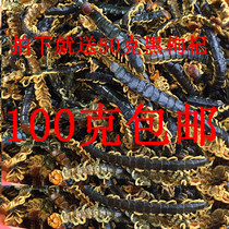 Centipede dry big centipede whole centipede skin medicine centipede wine centipede without bamboo stick centipede for sale by weight