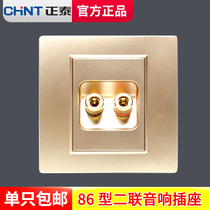 Chint Champagne gold audio socket panel type 86 concealed audio power outlet wiring one speaker wall plug