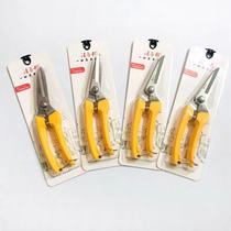 Wang Wuquan electrical trunking 8 inch scissors stainless steel spring fruit tree flower and tree scissors gardening pruning scissors