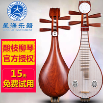 Xinghai musical instrument 8414 acid branch Xylophone Liuqin national musical instrument Beginner piano