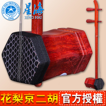 Beijing Xinghai 87022X Rosewood Beijing Erhu Xinghai National Musical instrument learning to play Erhu send accessories