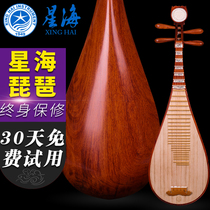 Xinghai Musical instrument 8914X-A Pipa Austenitic sandalwood string under acid branch wood Beijing Xinghai National Musical Instrument