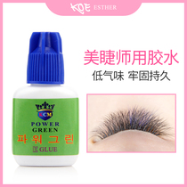 KOE planting grafting false eyelashes glue low odor long-lasting firm non-irritating hypoallergenic special for beauty salons