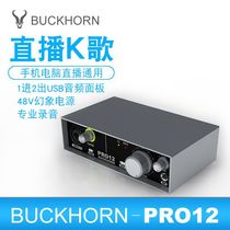 Buckhorn Springbok PRO12 sound card USB recording sound card Computer mobile phone live network K song audio interface