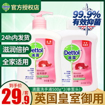 Dettol Antibacterial hand Sanitizer 500g*2 bottles of childrens foam promotional package Family refillable pressing bottle non-leave-in