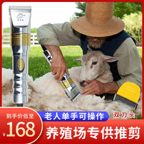 Lett Sharp Electric Push Cut Shaved Wool High Power Not Khair Professional Cut Hair Tool Sheep Goat Electric Shearer