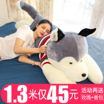 Husky doll big dog Bear plush toy rag doll doll cute accompany you to sleep pillow male girl