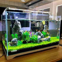 Sen Sen small gold fish tank Small aquarium Ultra-white glass living room Ecological water plant cylinder Turtle cylinder Landscaping grass cylinder