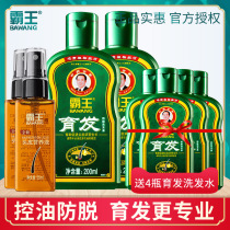 Overlord anti-hair loss hair growth liquid for men and women oil control ginger shampoo non-flagship store official website shampoo cream