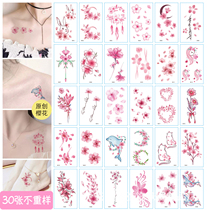 Cherry blossom tattoo stickers waterproof long-lasting fashion sexy arm collarbone stickers flower tattoo stickers cherry blossom hipster Net red ins Wind girl small pattern simulation tattoo stickers concealer stickers