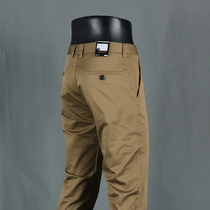 Foreign trade tail single mens spring summer autumn and winter season fashion slim cotton non-iron working straight business trousers casual pants
