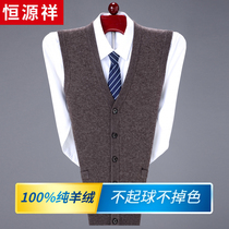 Hengyuanxiang 100 Pure Cashmere Sweater Vest Men Thick Sleeveless Knitted Wool Cardigan V-neck vest