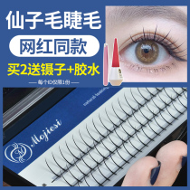 mojiesi eyelashes Yu Shuxin same Net Red single root fairy hair single cluster a type fairy false eyelashes female nature