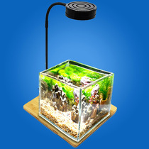 Micro landscape ecological bottle bamboo plate light fish tank landscape spotlight fish tank light aquarium light plant micro landscape light