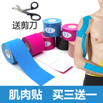Intramuscular adhesive cloth elastic movement bandage rubberized fabric muscles stickup tennis basketball wrist care kneecap protective arm muscle effect