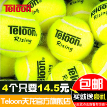 Teloon Dragon tennis training ball 603rising801ace beginner match tennis bag wear-resistant