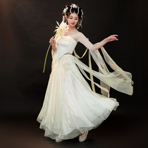 Lingling dragon with the same style of ancient style full skirt hot diamond three-layer light green gradient large swing skirt slim and elegant wings top