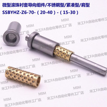 SSBYHZ-Z6-70-(20-40)-(15-30) Miniature Ball Bushing Guide Assembly