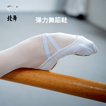 North dance elastic cloth dance shoes womens soft bottom children practice adult body art Test white display instep ballet cat claws