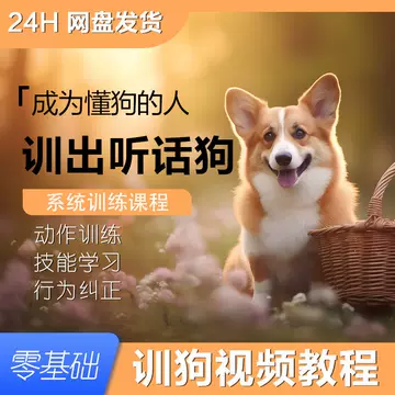 训狗教程金毛边牧狗狗零基础新版宠物定点上厕所动作训练视频课程