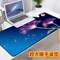 Rainbow snail computer desktop warm hand heated mouse pad oversized warm table pad office heating electric blanket table