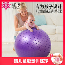 Baby early education yoga ball thickened explosion-proof dragon ball Childrens sensory integration training ball balance ball Baby training