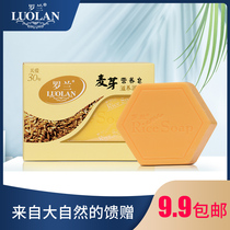 Roland Soap Handmade Malt Skin Soap Grain Ingredients Healthy Clean Skin Deash 120g